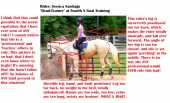 Fraud horse trainer/ riding instructor