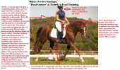 Fraud horse trainer/ riding instructor