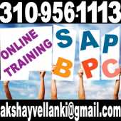 SAP BPC Training SAP BPC Online Training