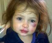 Sexual Abuse and Under Investigation Preschool 77373 Sexual Abuse and Under Investigation Preschool 77373